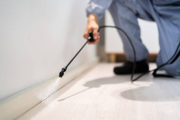 Professional exterminator conducting IPM assessment in Hackensack